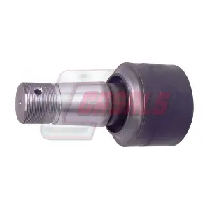 R8129 CASALS