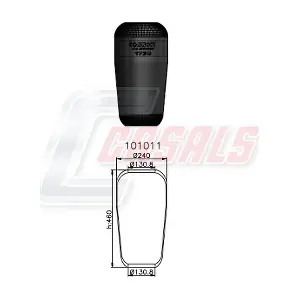 B1007 CASALS