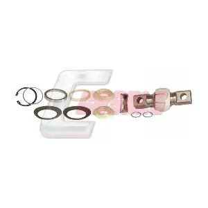 R3564 CASALS