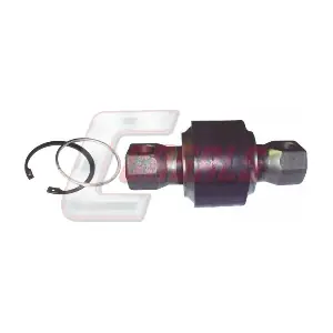 R7185 CASALS