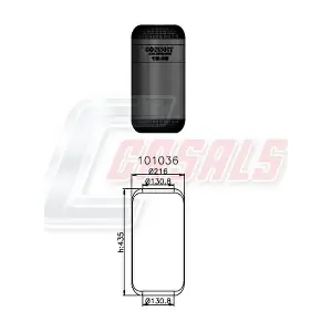 B1017 CASALS