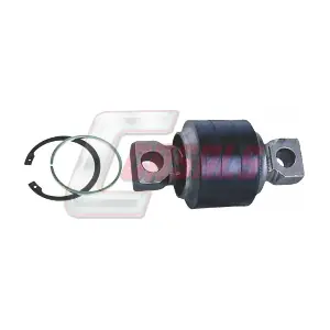 R4479 CASALS