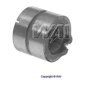 28918501 WAI