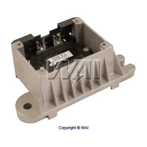 ICM53 WAI