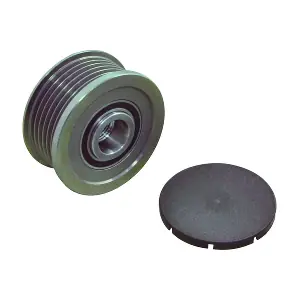 24-91321 WAI