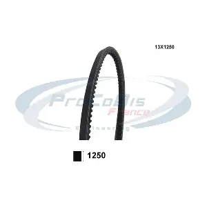 13X1250 PROCODIS FRANCE