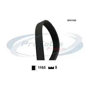 5PK1165 PROCODIS FRANCE