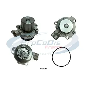 PE3080 PROCODIS FRANCE
