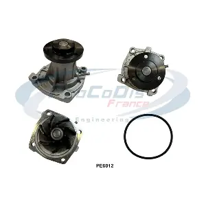 PE6012 PROCODIS FRANCE