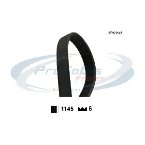 5PK1145 PROCODIS FRANCE