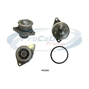 PE3003 PROCODIS FRANCE