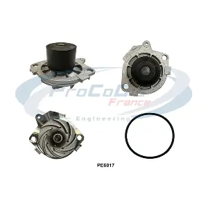 PE6017 PROCODIS FRANCE