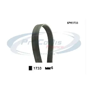 6PK1733 PROCODIS FRANCE