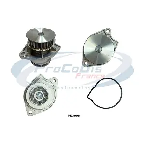 PE3008 PROCODIS FRANCE