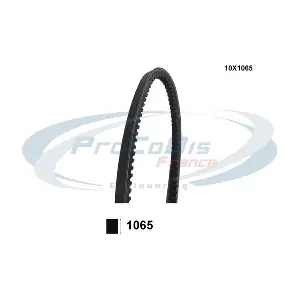 10X1065 PROCODIS FRANCE