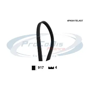4PK0917ELAST PROCODIS FRANCE
