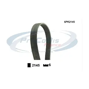 6PK2145 PROCODIS FRANCE