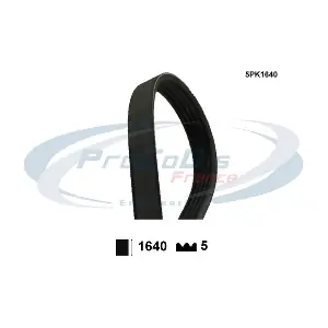 5PK1640 PROCODIS FRANCE