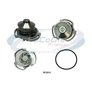 PE3010 PROCODIS FRANCE