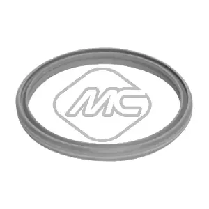 98716 Metalcaucho