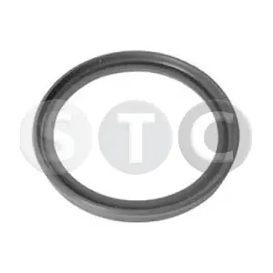 T479284 STC