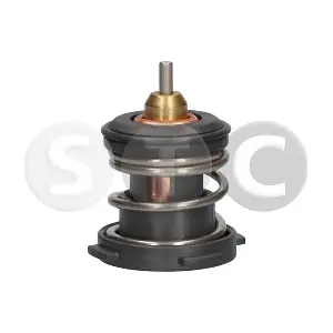 T431317 STC