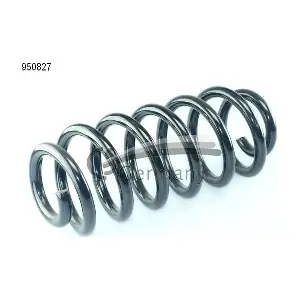 950827 CS Germany