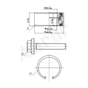 LO01356 STARLINE