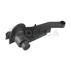 06819 OSSCA