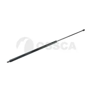 12877 OSSCA