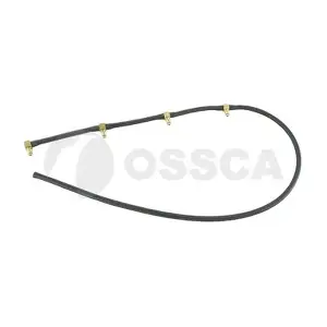 69107 OSSCA