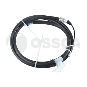 57906 OSSCA