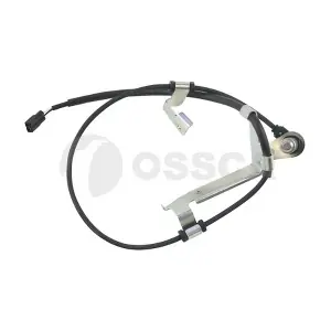 21722 OSSCA