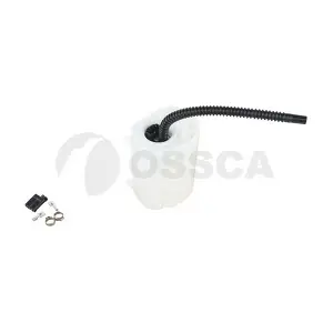 18681 OSSCA