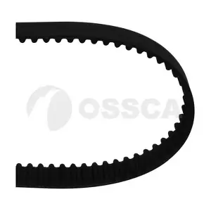 07531 OSSCA