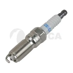 52176 OSSCA