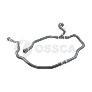 33377 OSSCA