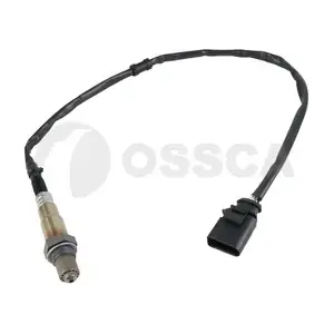 51001 OSSCA