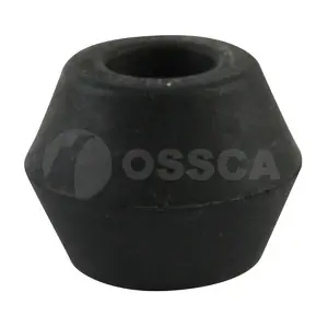 13593 OSSCA