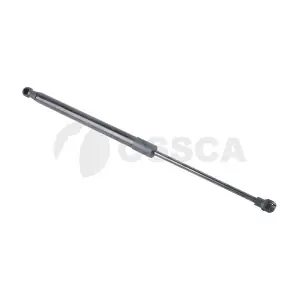 60672 OSSCA