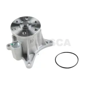 29095 OSSCA