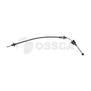 02229 OSSCA
