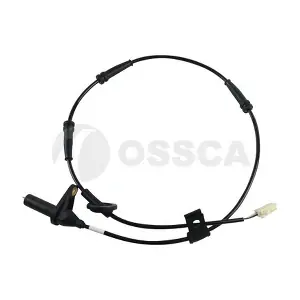20513 OSSCA