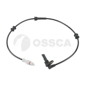 20593 OSSCA
