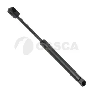 09594 OSSCA