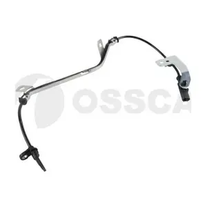 30347 OSSCA