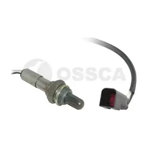 05909 OSSCA