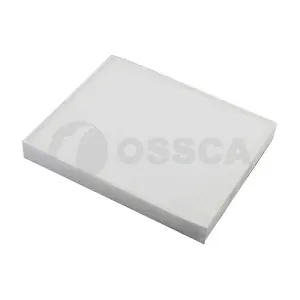 66999 OSSCA