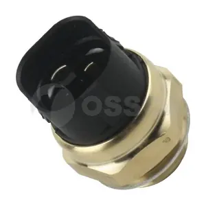 01285 OSSCA