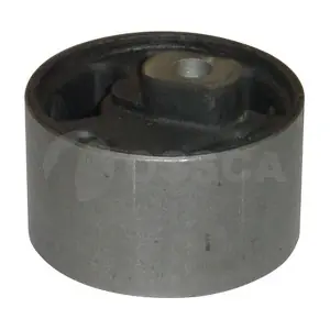 01311 OSSCA